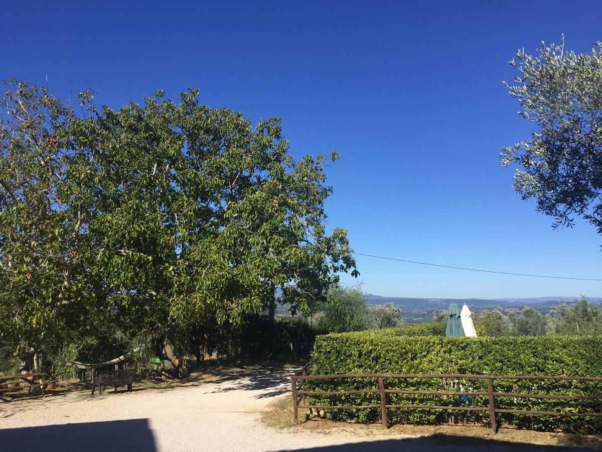 Belvedere Cramaccioli Vigne Εξωτερικό φωτογραφία